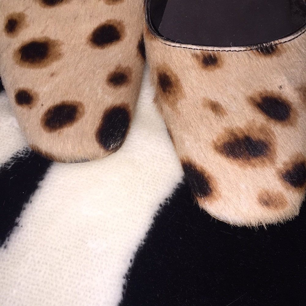 Dolce & Gabbana Leopard Heels
